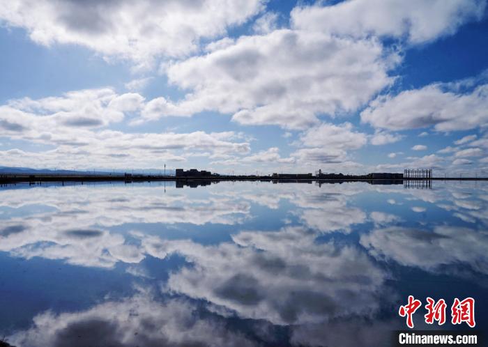 青海組織專家開展網上評審 引導產業(yè)創(chuàng)新發(fā)展
