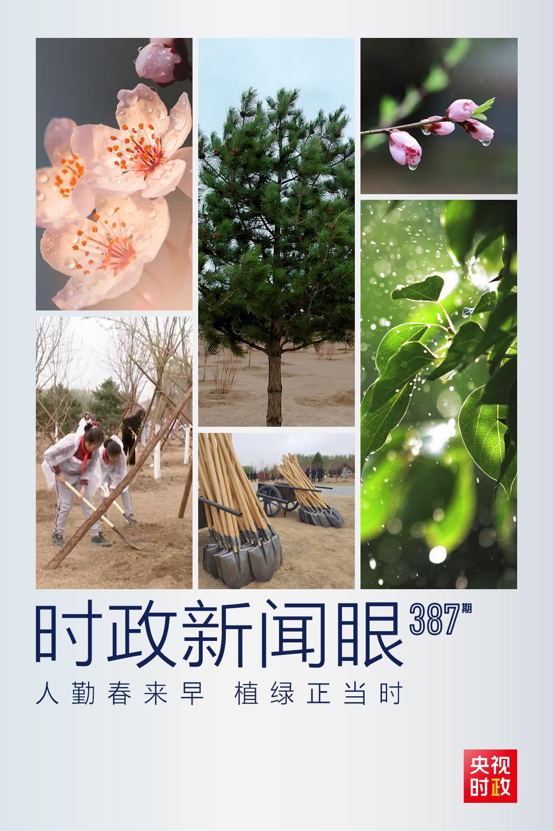 在今年首都義務(wù)植樹(shù)現(xiàn)場(chǎng)，習(xí)近平這三句話(huà)飽含深意