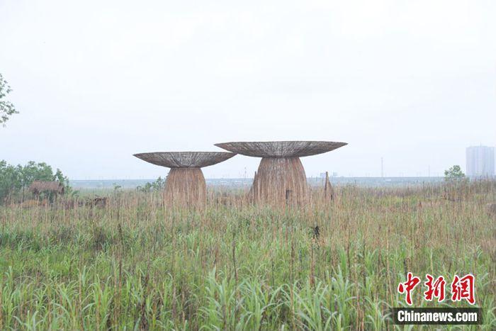 江水變清、江豚重現(xiàn)……這座城市如何守護碧水